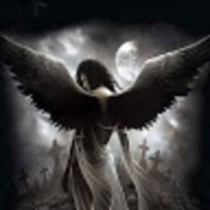 Meet your Posher, Rose